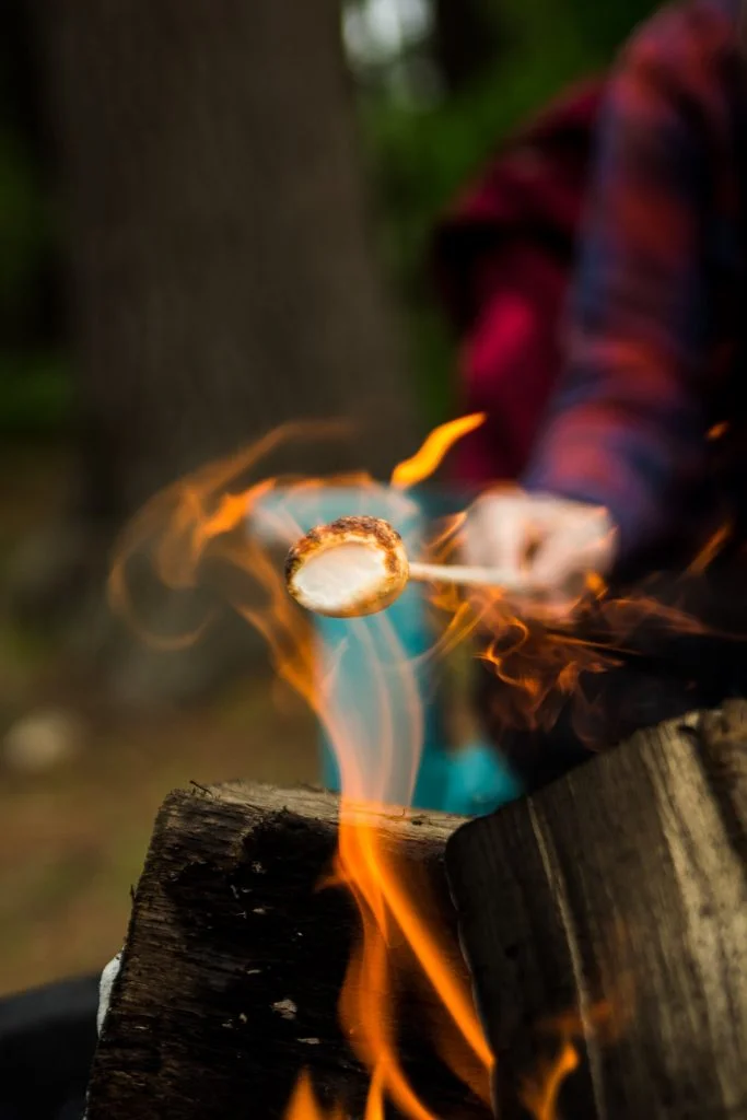 campfire and marshmallows being roasted