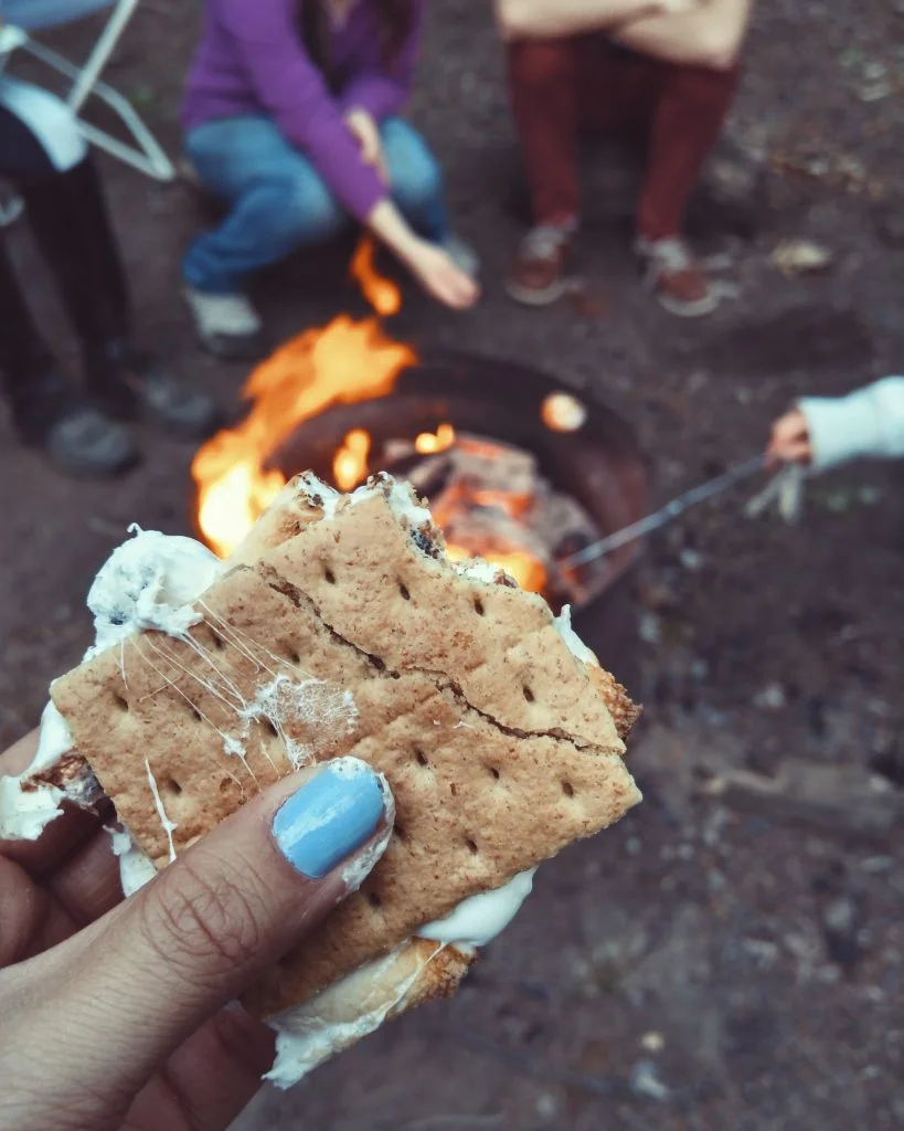 s'mores with fire in the background