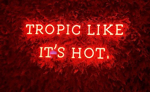 a neon sign "tropic like it's hot" at throw social in delray beach