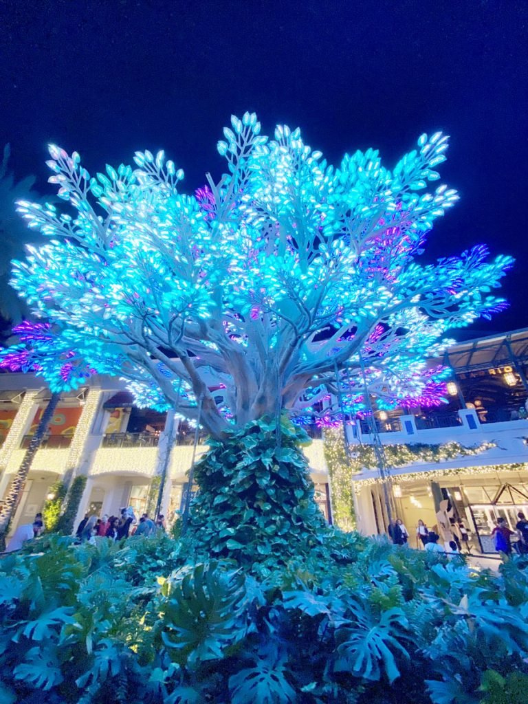 The Wishing Tree at The Square in Downtown West Palm Beach