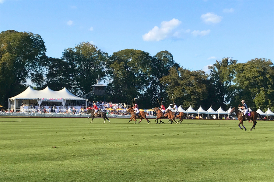 Newport Polo Match in Rhode Island