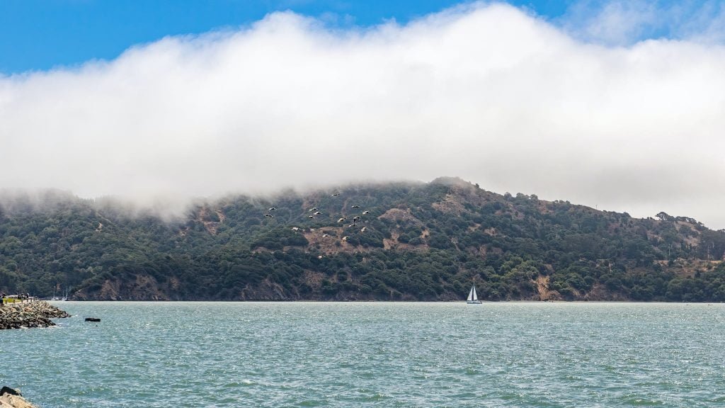 Coast of the Angel Island, San Francisco Bay, California