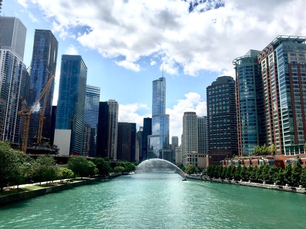 Chicago River Between Trees and City Skyscrapers