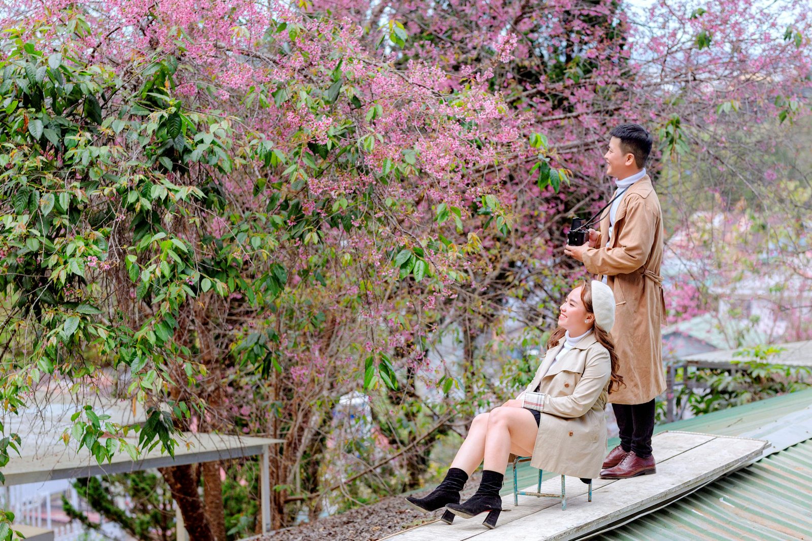 Man and Woman Looking at a Cherry Blossom Tree