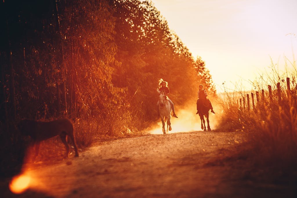 People Riding Horseback During Sunset