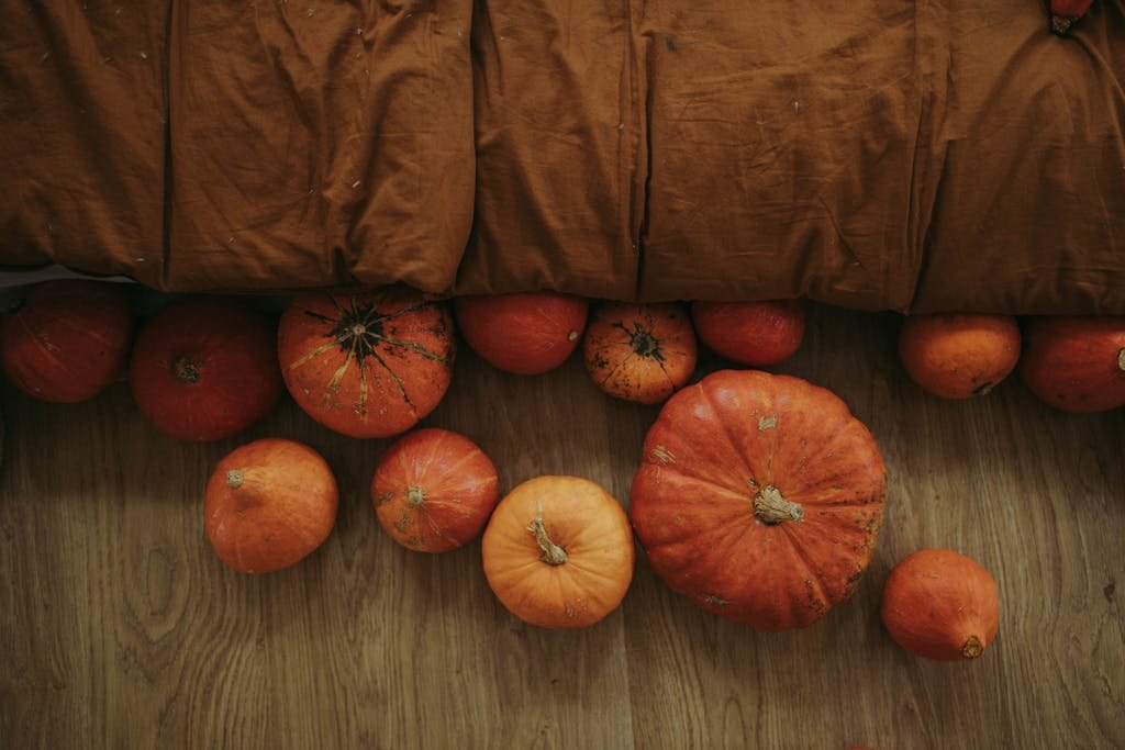 Orange Pumpkins on Brown Wooden Floor