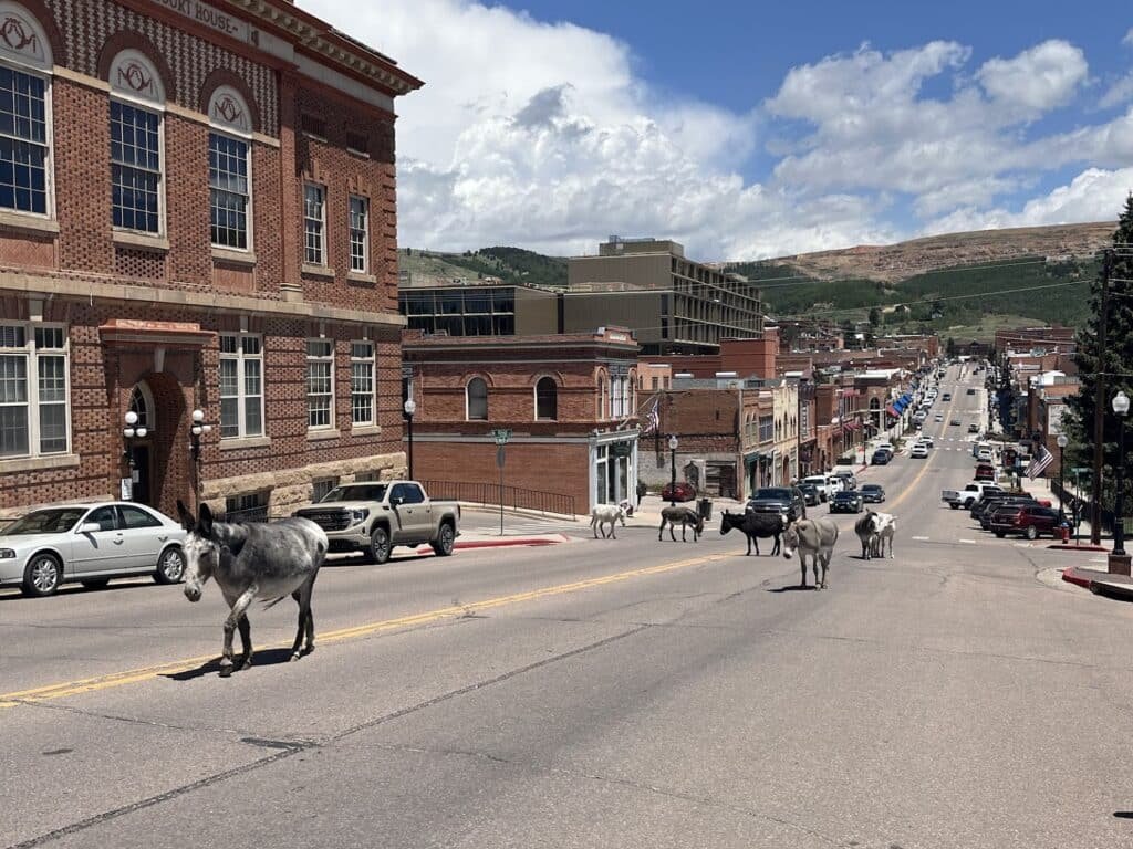 Cripple Creek 2