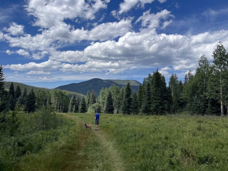 relaxing date night idea short hike with Roxy & Rico