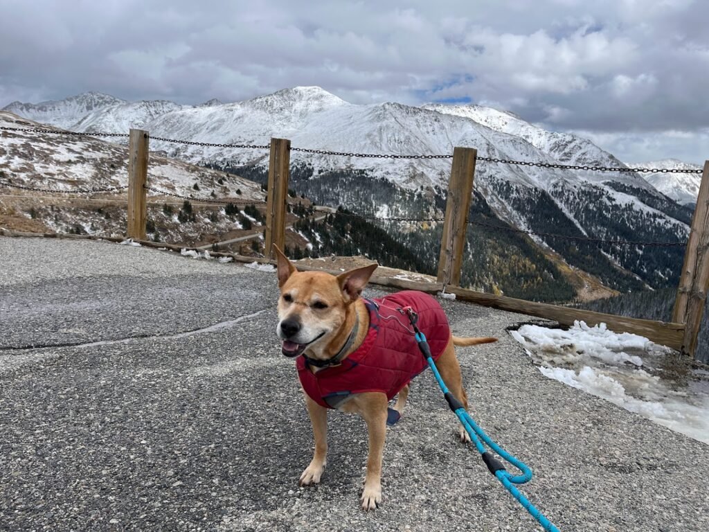 Roxy hiking