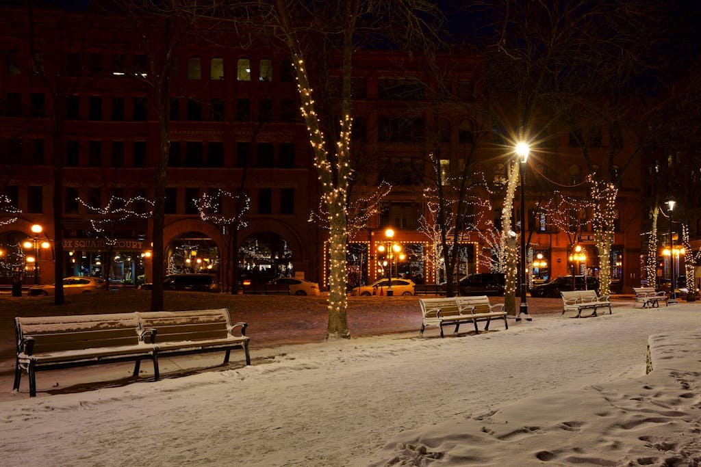 Snowy urban park in Saint Paul, MN, illuminated by festive lights at night.