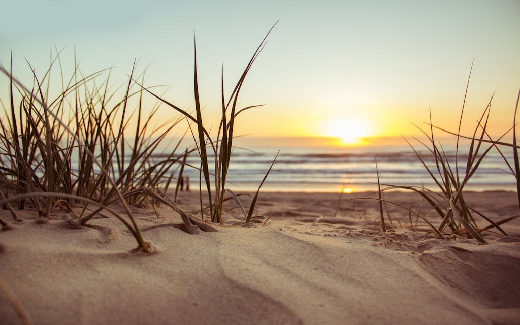 Peaceful beach scene at sunset with sun, sea, and sandy dunes in view. Ideal for nature themes.