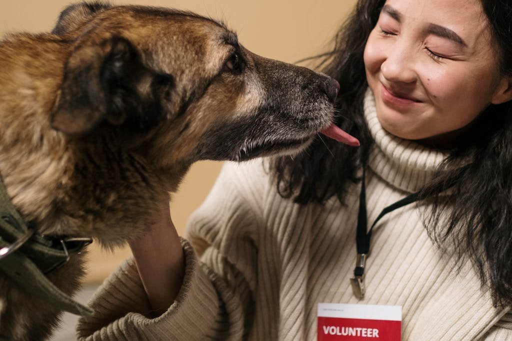 Crop smiling woman with closed eyes and badge stroking cute dog with brown coat