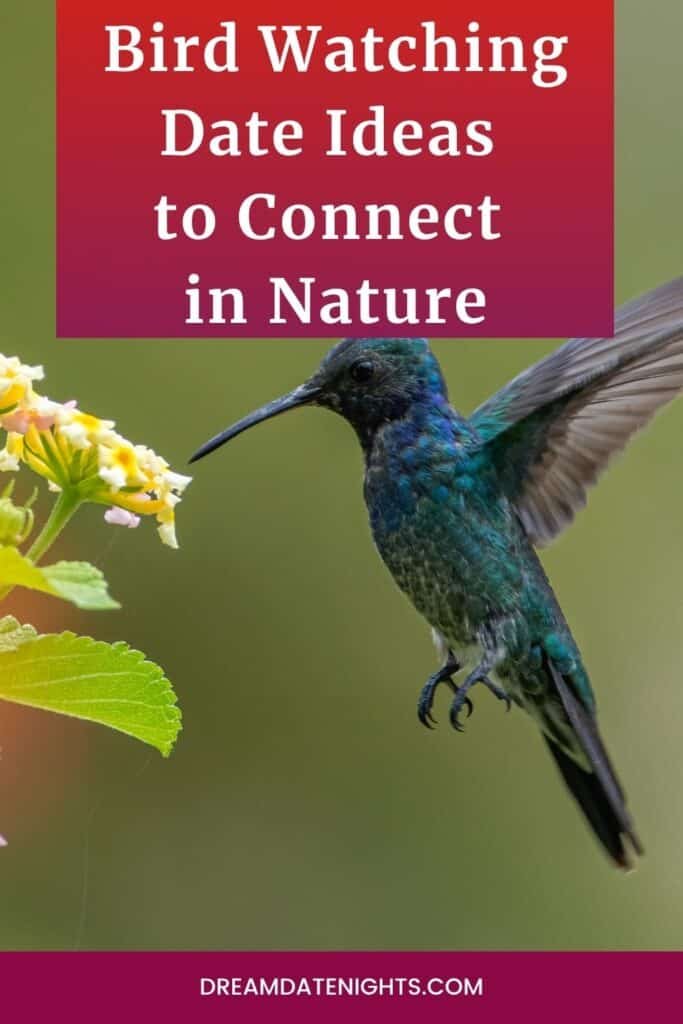 Bird Watching Date Ideas to Connect in Nature pin 3