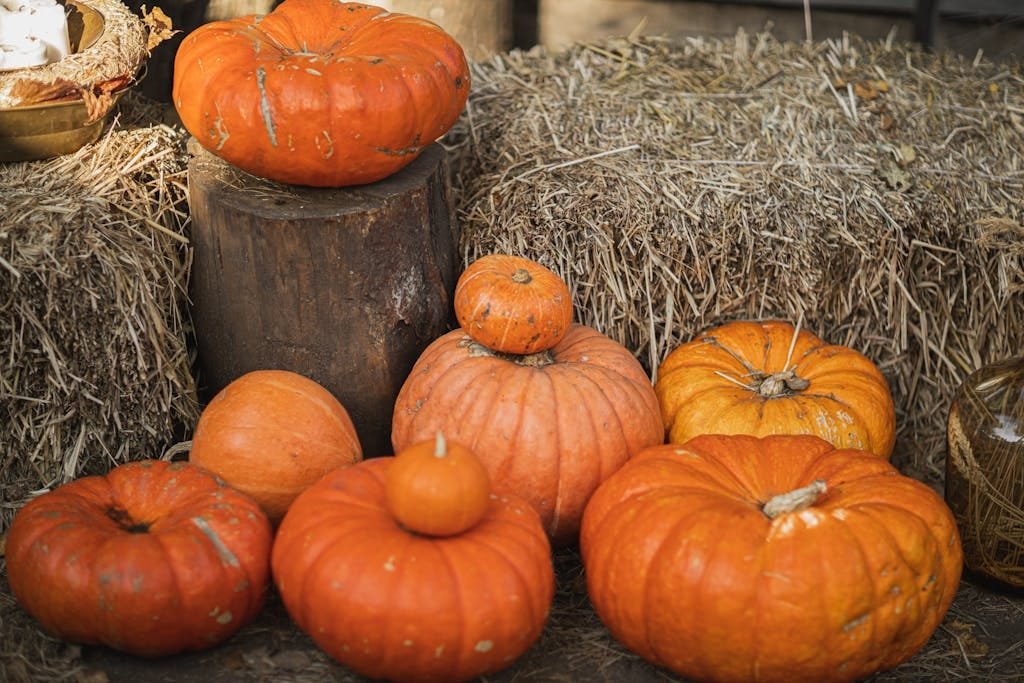 A cozy display of various pumpkins on hay bales, perfect for autumn and harvest-themed decor.